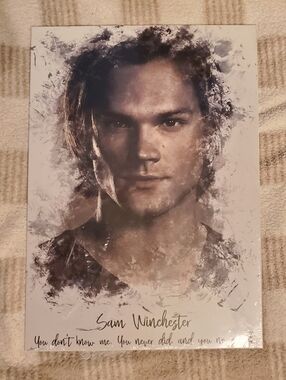 NWT Displate Supernatural Sam Winchester Metal Poster with Magnet